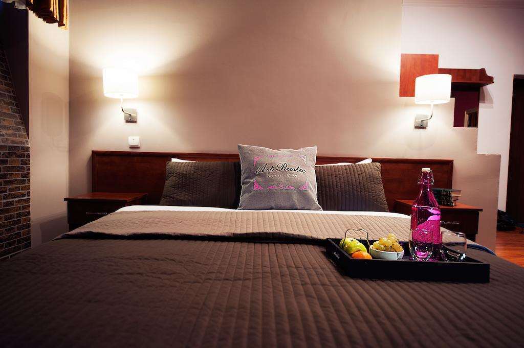 Art-rustic Boutique 3* צ'יסינאו